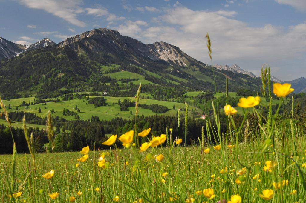 Sonnenpark, Ihr Bett Im Allgaeu Bad Hindelang Bagian luar foto