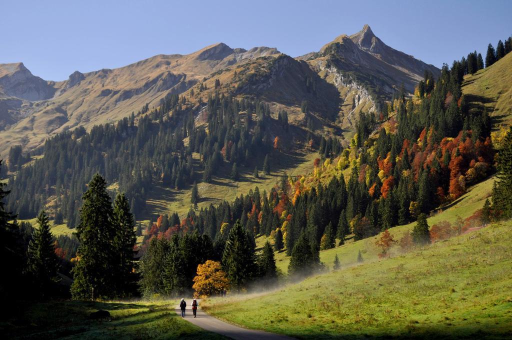 Sonnenpark, Ihr Bett Im Allgaeu Bad Hindelang Bagian luar foto